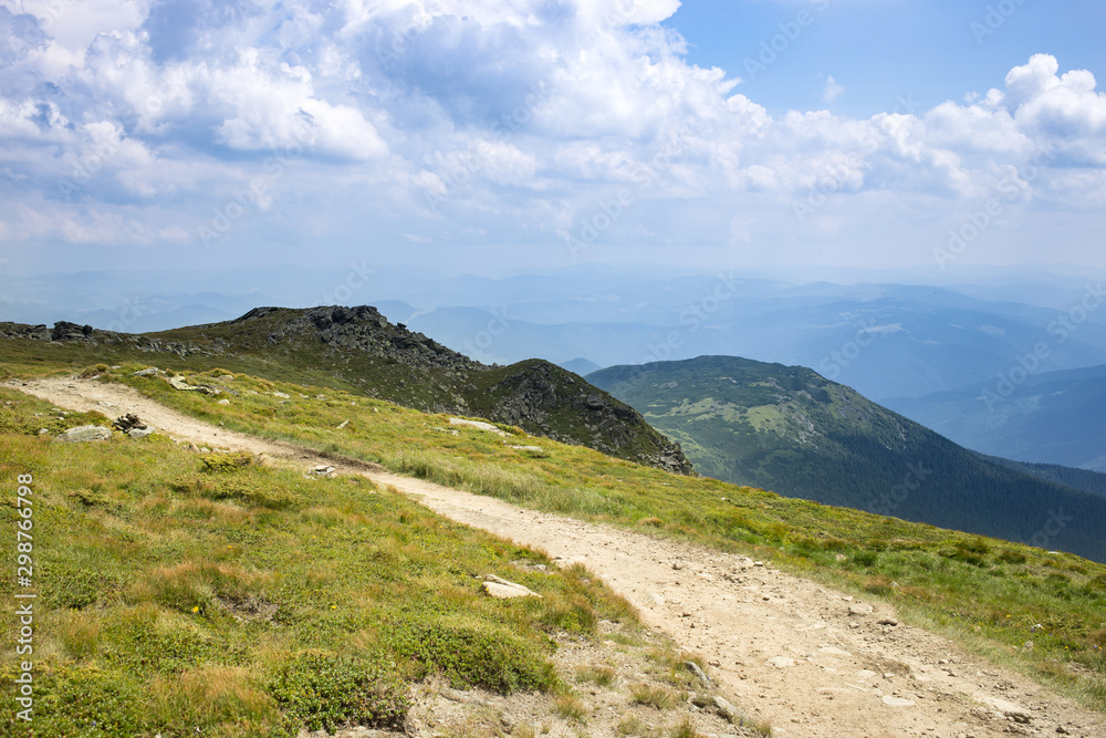 Trail in the forest of the Ukrainian Carpathian Mountains