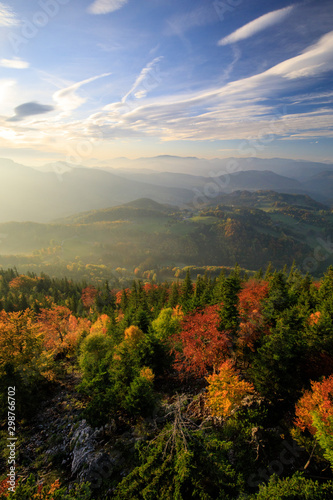 Autumn Forest landscape in the mountains of Austria