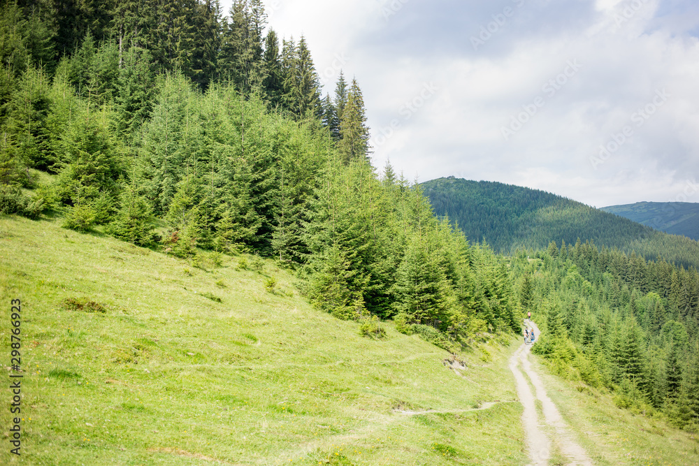 Fototapeta premium Trail in the forest of the Ukrainian Carpathian Mountains