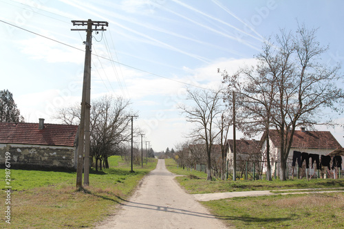 Neglected street in the half deserted and decayed village of Rastina, in Serbia, with old farms and fields on the side. Rastina is a typical village of the rural province of Vojvodina. photo