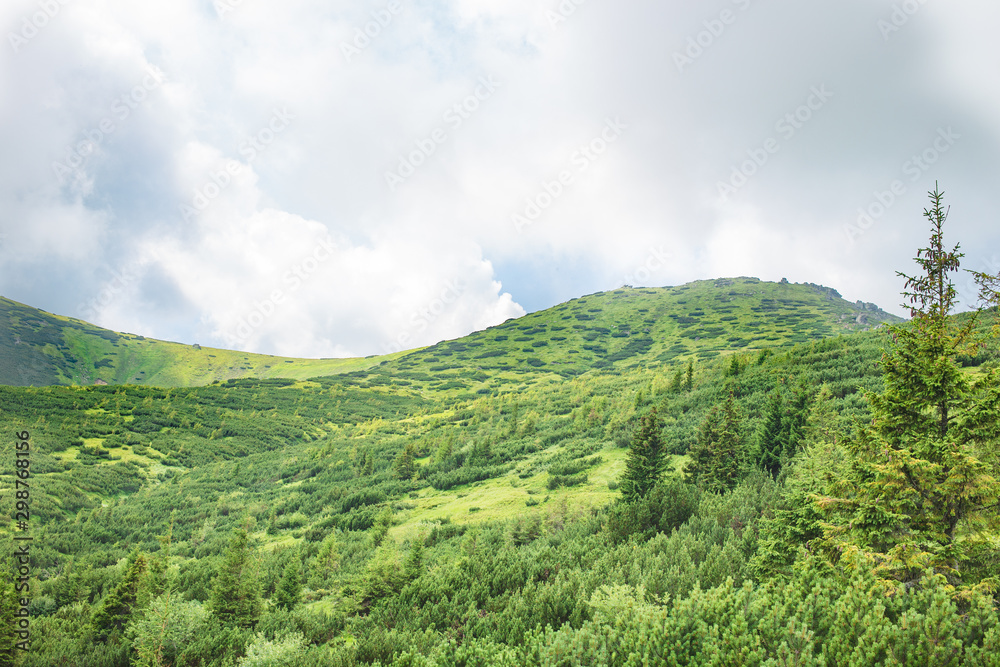Mountains with Plants against Blue Cloudy Sky