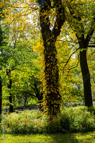 Beautiful park in Beautiful city..Beautiful Central Park in foliage season, New York City..