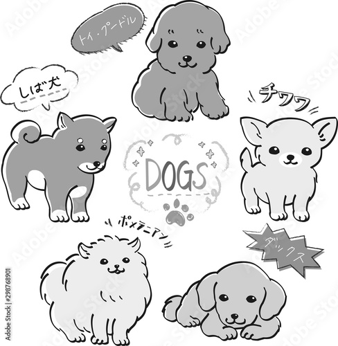 人気　犬　５種　セット　モノクロ　子犬　トイ・プードル　ダックス　ポメラニアン　しば犬　チワワ