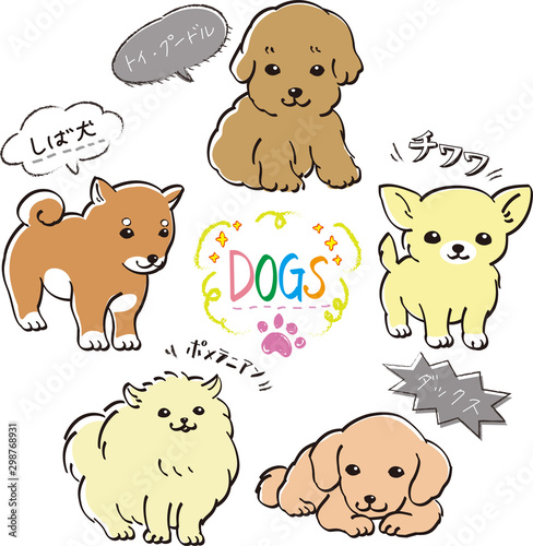 人気　犬　５種　セット　カラー　子犬　トイ・プードル　ダックス　ポメラニアン　しば犬　チワワ