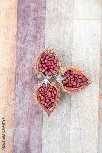 This red plant(urucum) called annatto is originally from the Indians, who used their seeds to paint the body red. It is widely used as a colorant for various purposes, mainly in the cosmetic and food