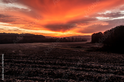 sunrise over a field