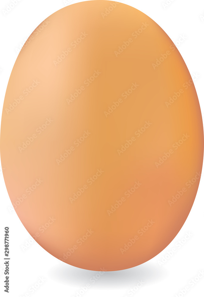 Brown chicken egg