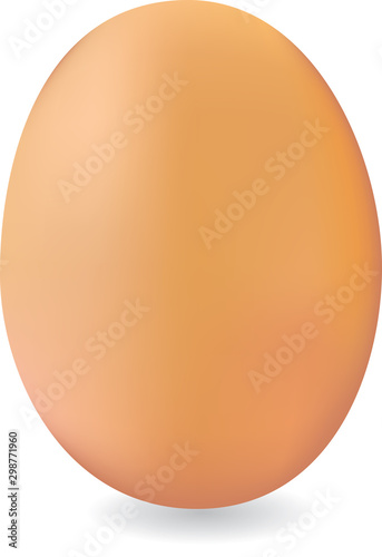 Brown chicken egg