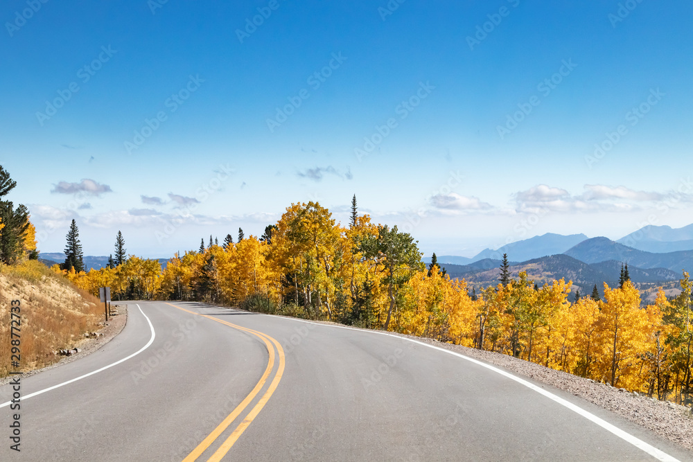 Empty highway winding through a golden fall aspen forest in a Colorado mountain landscape - obrazy, fototapety, plakaty 