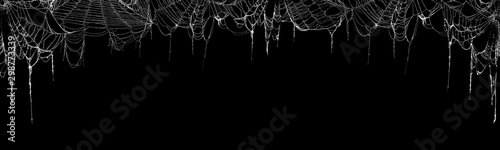 Fotografie, Obraz Real creepy spider webs hanging on black banner as a top border