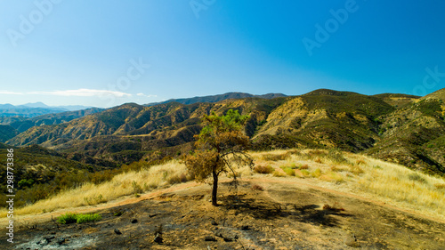  California Pacific Forest Aerial- Angeles National Forest Post Wildfire