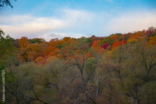 autumn landscape with trees and blue sky