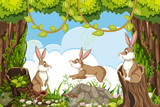 Rabbits in jungle scene