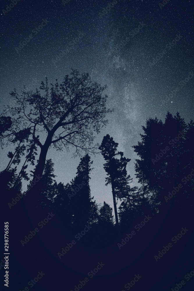 Stunning night photography shots of the milky way, nebulas, stars, and clusters of the night sky.  Bowen Island BC Canada with stunning beaches, forests and clear skies.