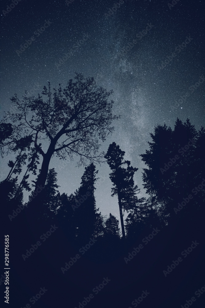 Naklejka premium Stunning night photography shots of the milky way, nebulas, stars, and clusters of the night sky. Bowen Island BC Canada with stunning beaches, forests and clear skies.