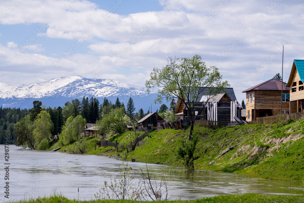 Fototapeta premium forest, river, village