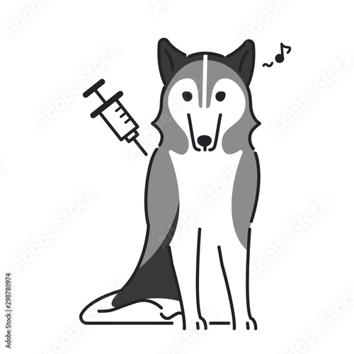 注射　犬　痛くない　シベリアンハスキー