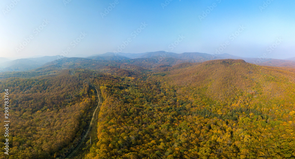 Fototapeta premium country forest road surrounded by a yellow-orange autumn forest in the mountains of the Western Caucasus (South of Russia) on a foggy morning of an autumn day