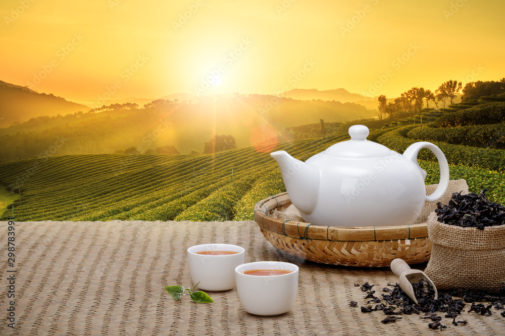 Warm cup of tea with teapot, green tea leaves and dried herbs on the bamboo mat at morning in plantations background with empty space, Organic product from the nature for healthy with traditional - obrazy, fototapety, plakaty 