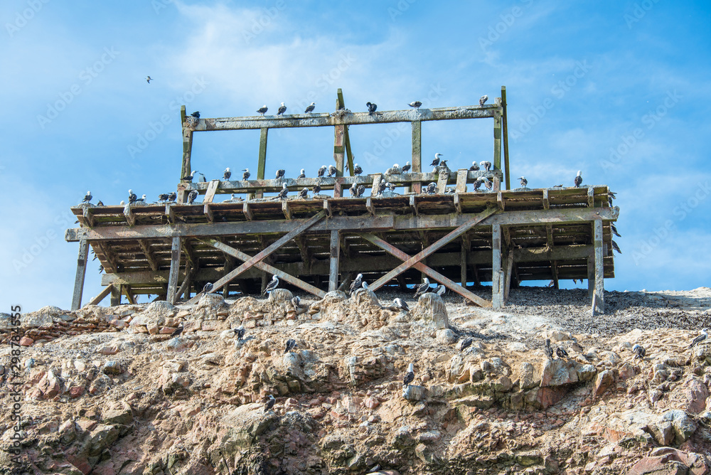 Paracas National Reserve in Peru