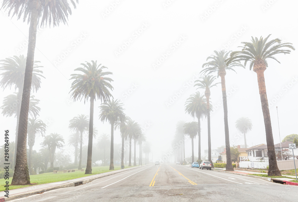 Foggy landscape in Southern California