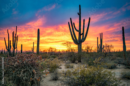 Dramatic Sunset in Arizona Desert: Colorful Sky and Cacti/ Saguaros in Foreground - Saguaro National Park, Arizona, USA © Nate Hovee