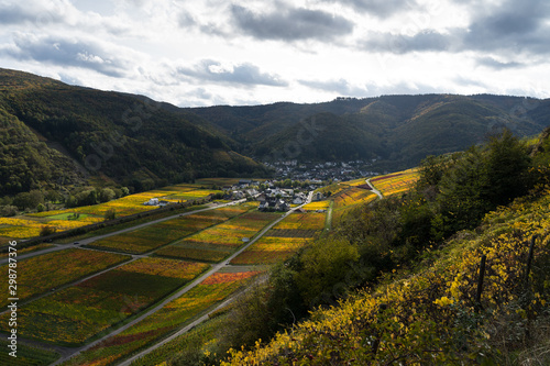 Indian summer on the red wine trail in the Ahr valley © Julia Hermann