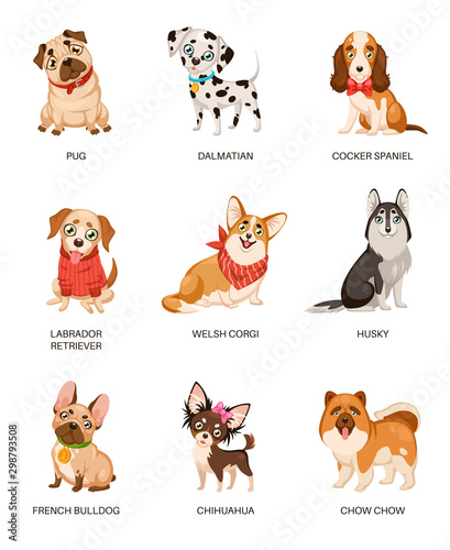 Cute dogs. Furry human friends home animals different breed pug, labrador and husky. Funny pets, happy puppies cartoon vector characters