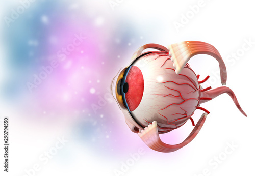 3d human eye anatomy medical background. 3d illustration photo