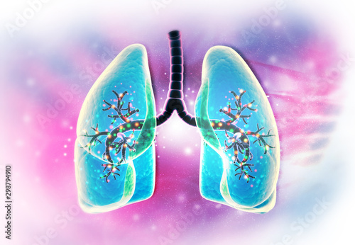 Human lungs on abstract medical background. 3d illustration