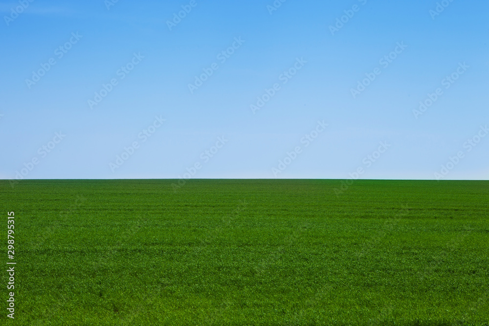 Green field Landscape
