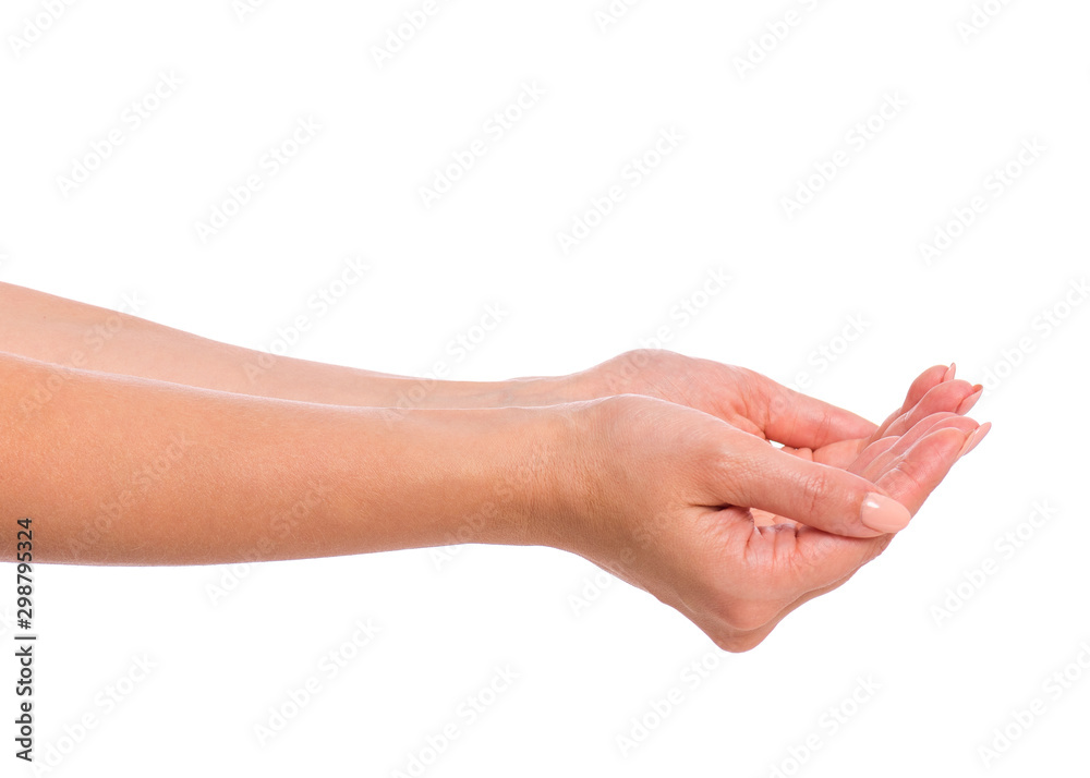 Female empty hands holding - palm up, isolated on white background. Beautiful hands of woman with copy space.