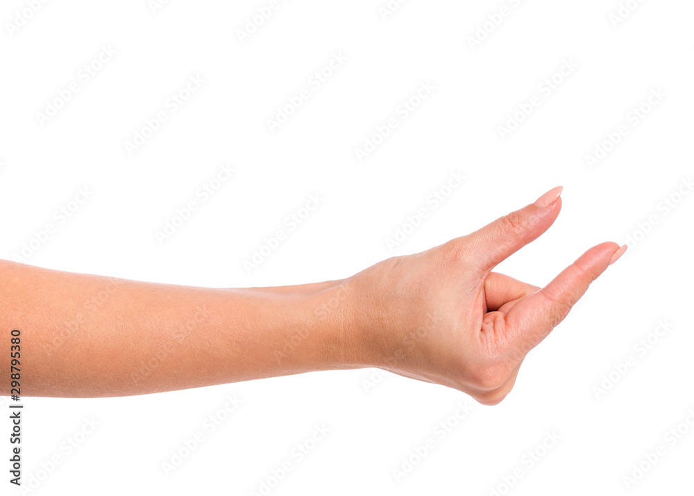 Female hand, isolated on white background. Beautiful hand of woman with copy space. Spacing between fingers. Female hand, isolated on white background. Beautiful hand of woman with copy space. Spacing between fingers.