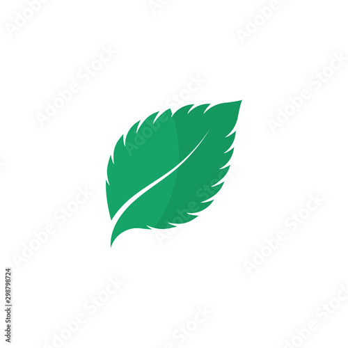 Mint leaves flat vector color icon