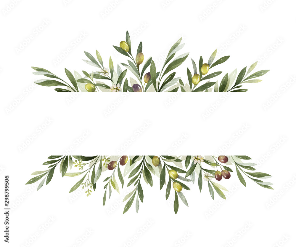 Naklejka premium Watercolor vector banner of olive branches and leaves.