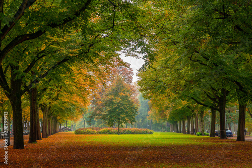 Beautiful autumn scene in Rotterdam city park  Netherlands.