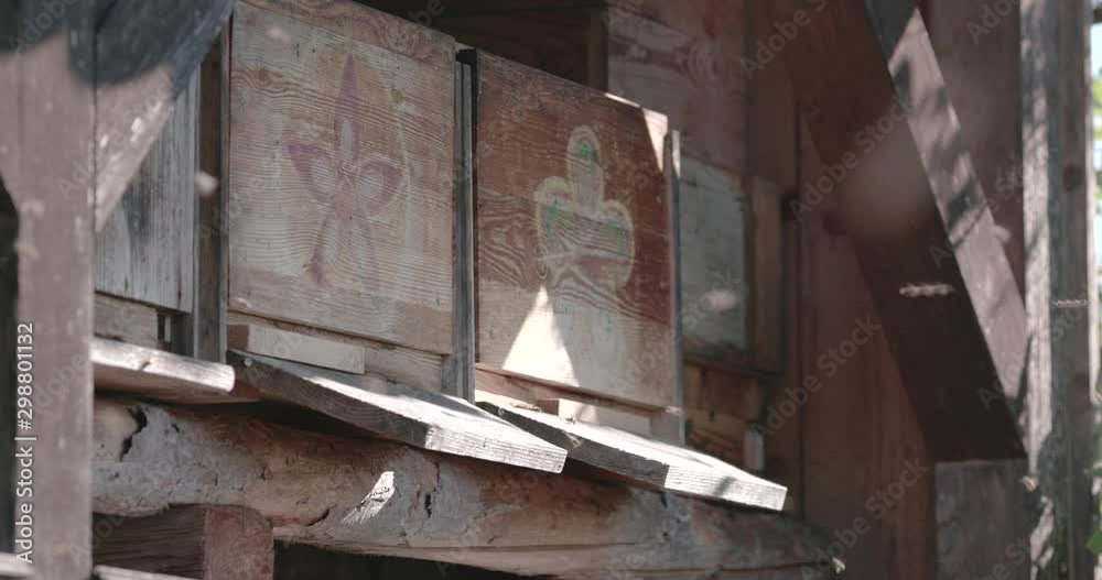 Colmena de abejas apicultura