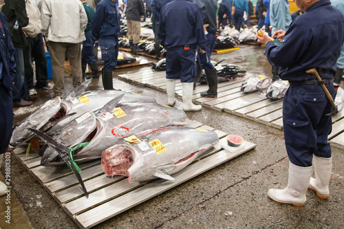 Fish Auction At Tsukiji Fish Market in Tokyo, Japan photo