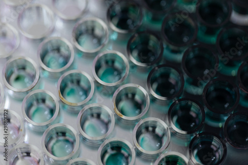 Картината върху платно Study of fish blood composition with 96 wells microplate for laboratory testing