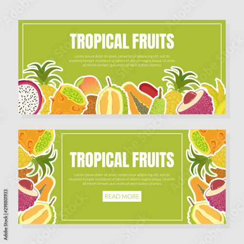 Tropical Fruits Landing Page Template with Fresh Ripe Exotic Fruit Vector Illustration