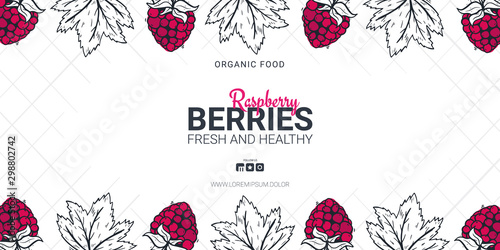 Berries banner with raspberries. Food design template with berry.