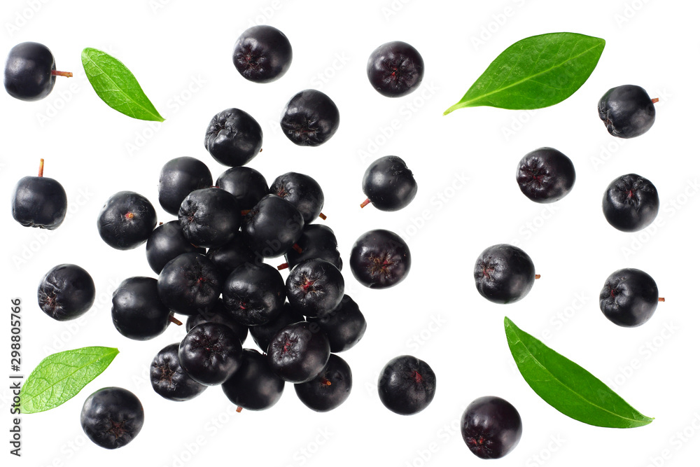 Chokeberry with green leaves isolated on white background. Black aronia. Top view. Chokeberry with green leaves isolated on white background. Black aronia. Top view.