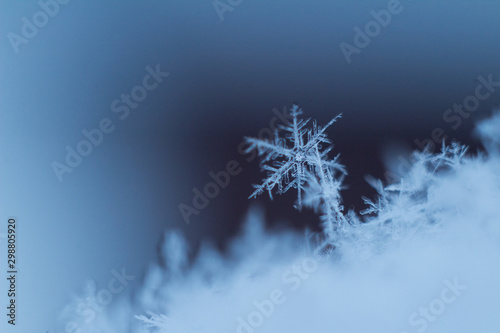 Snowflake on the edge of the snow