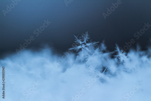 snowflake lies on the edge of the snow, cold tones © Albina