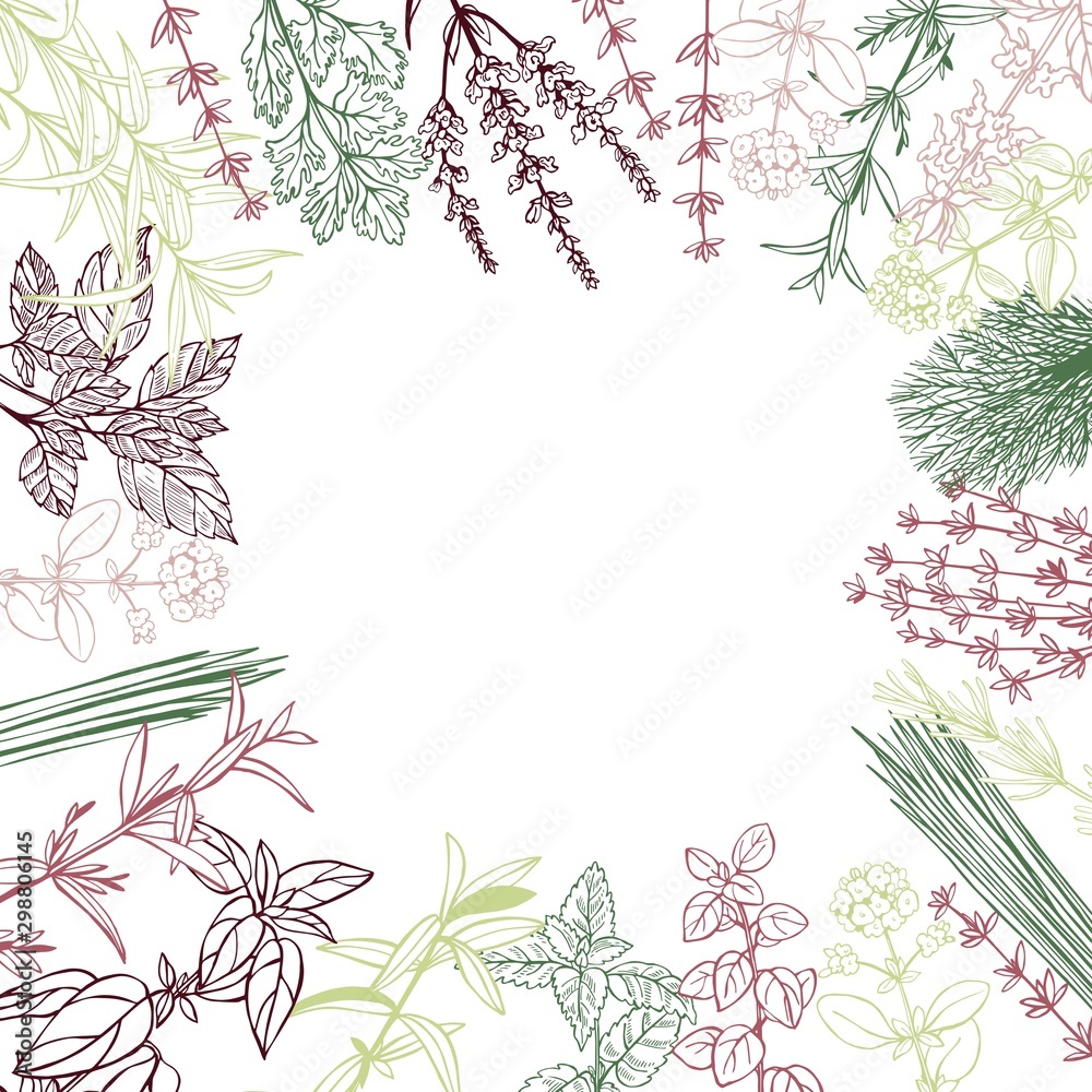  Vector background with hand drawn spicy herbs.  Sketch  illustration.