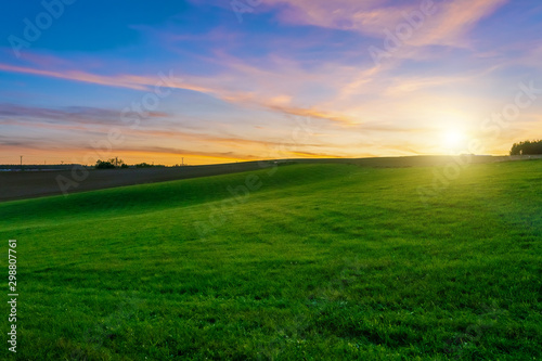 sunset over agricultural green field