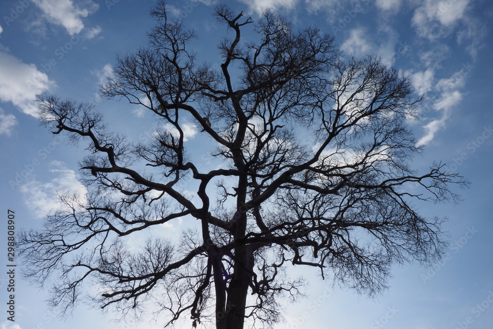 Obraz premium OLYMPUS DIGITAL CAMERA