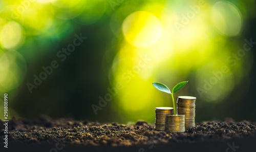 Growing Money - Coin And trees Natural green background