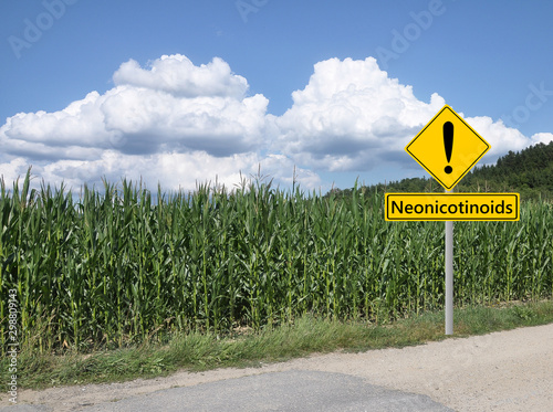 Maisfeld mit Warnschild Neonicotinoide photo