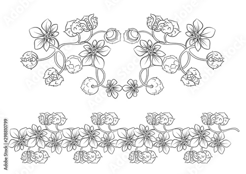 Hazelnut color illustration in art nouveau style, vintage, old, retro style. Outline hand drawing vector illustration.